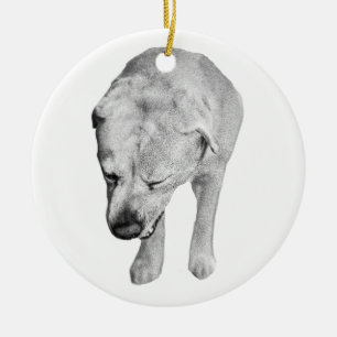 Heirloom Shading, Labrador Keepake Keramik Ornament