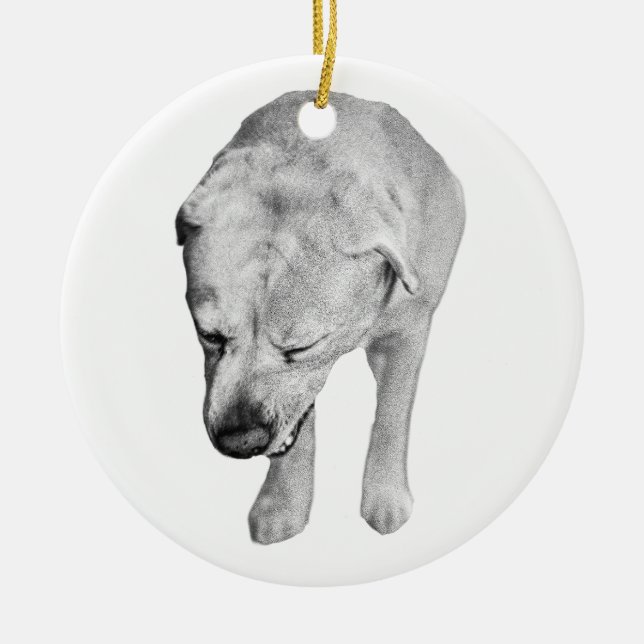 Heirloom Shading, Labrador Keepake Keramik Ornament (Vorne)