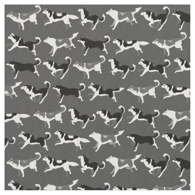 Heisere Gewebe-Husky-Gewebe-Hundegewebe Stoff (Nahaufnahme)