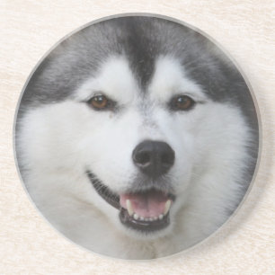 Heisere HundeUntersetzer Getränkeuntersetzer