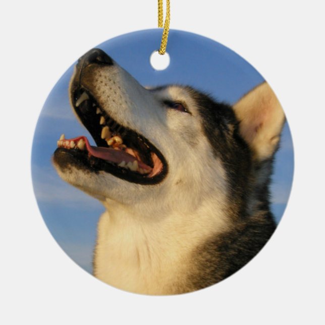 Heisere Verzierung Keramik Ornament (Vorne)