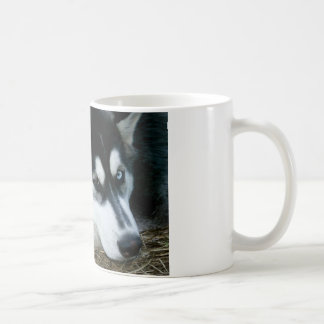 Heiserer Hund Tasse