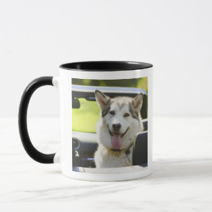 Heiserer Hund vom Kabriolett Tasse