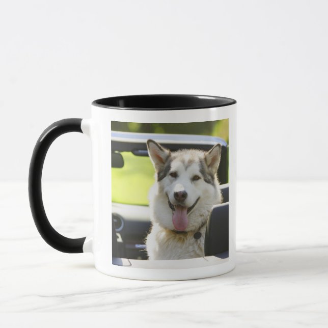 Heiserer Hund vom Kabriolett Tasse (Links)