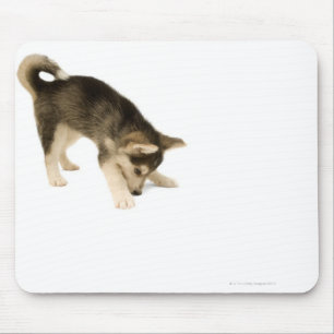 Heiserer Welpe 2 Mousepad