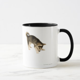 Heiserer Welpe 2 Tasse