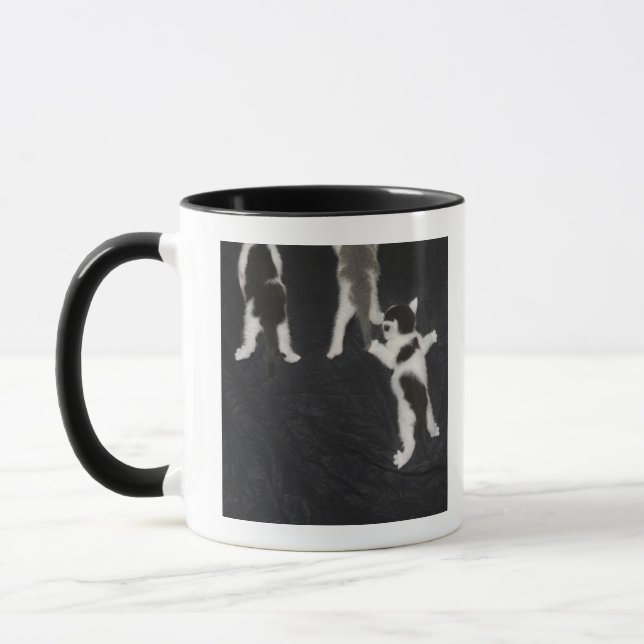 Heiserer Welpe Tasse (Links)