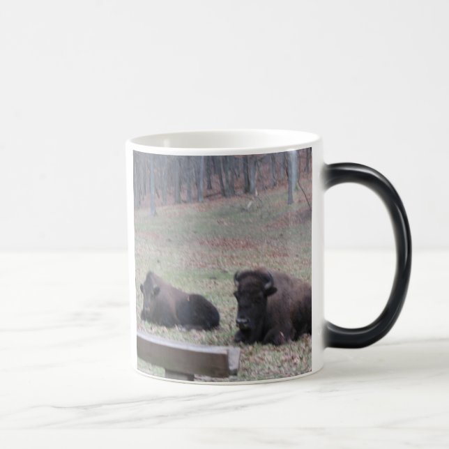 Heiß oder kalt? Tasse (Rechts)