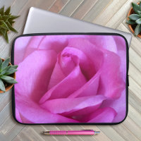 Heiß rosa Rose Blume Foto einfach fett modern chic