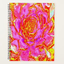 Heiß rosa, rot und gelb Sukkulat-Rosette Planer