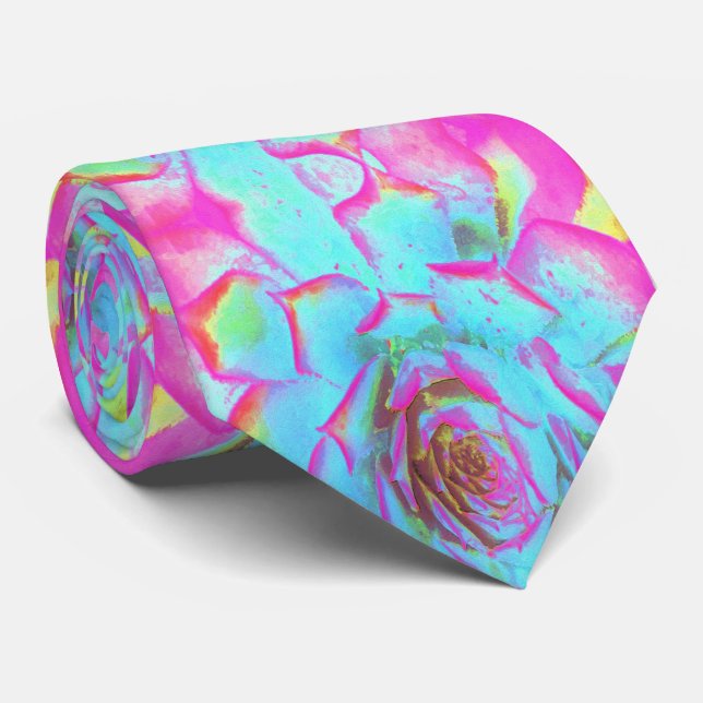 Heiß rosa und blau-sukkulente Sedum-Rosette Krawatte (Gerollt)