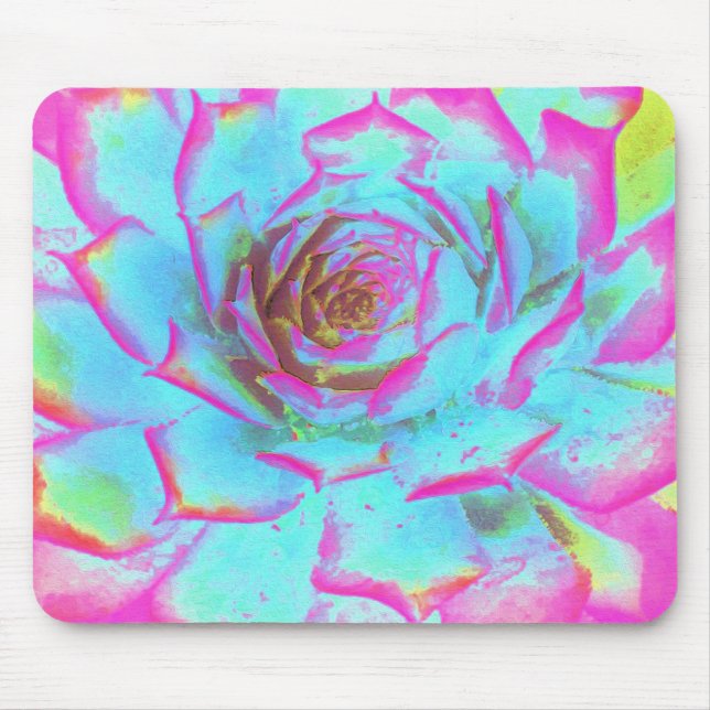 Heiß rosa und blau-sukkulente Sedum-Rosette Mousepad (Vorne)