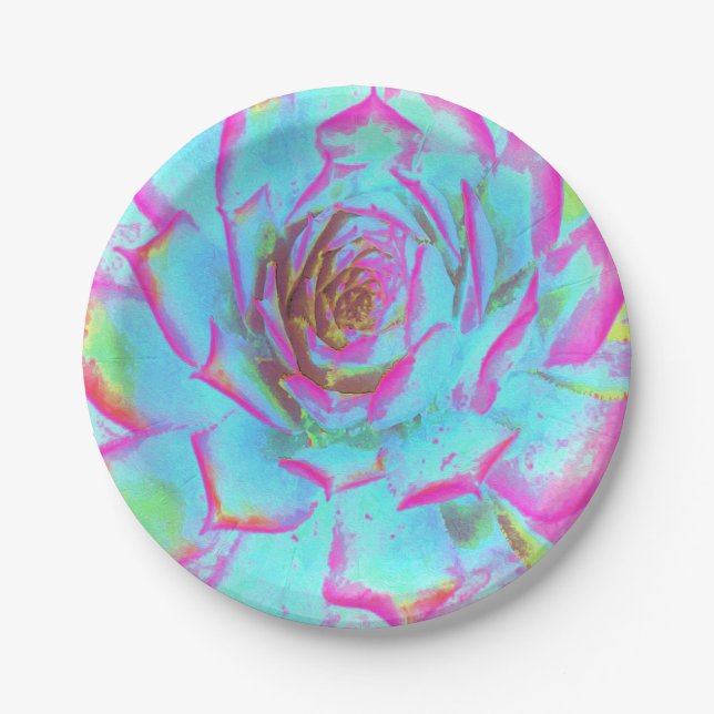 Heiß rosa und blau-sukkulente Sedum-Rosette Pappteller (Vorderseite)