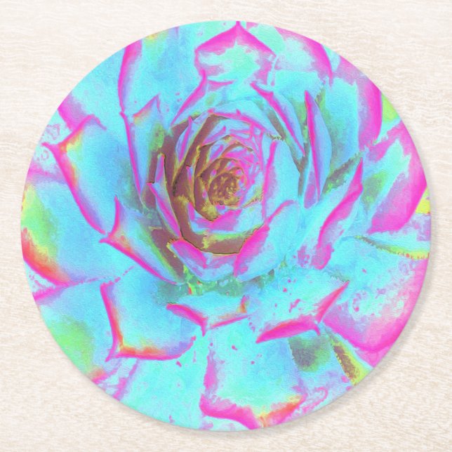 Heiß rosa und blau-sukkulente Sedum-Rosette Runder Pappuntersetzer (Vorderseite)