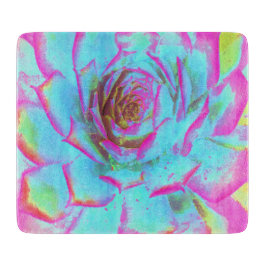 Heiß rosa und blau-sukkulente Sedum-Rosette Schneidebrett