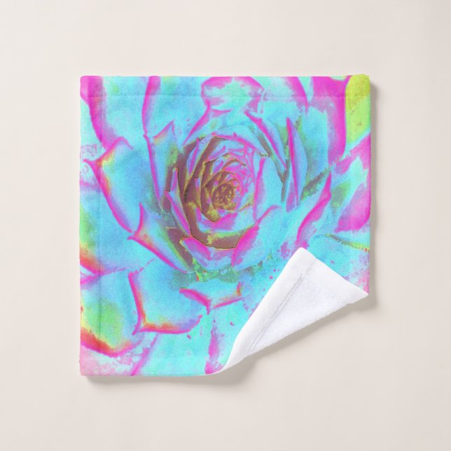 Heiß rosa und blau-sukkulente Sedum-Rosette Waschlappen (Waschlappen)