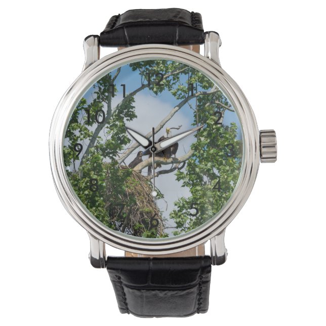 Heiße Adler Armbanduhr (Vorderseite)