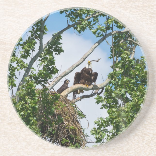 Heiße Adler Getränkeuntersetzer (Vorne)