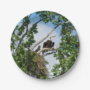 Heiße Adler Pappteller