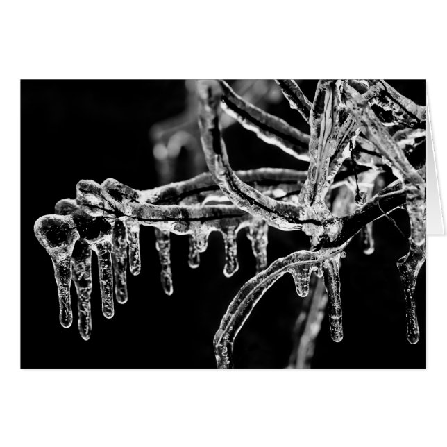 heiße Jahreszeit (Vorderseite (Horizontal))