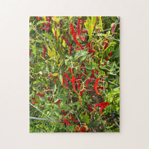 Heiße Paprikaschoten für Hot Chile! Puzzle