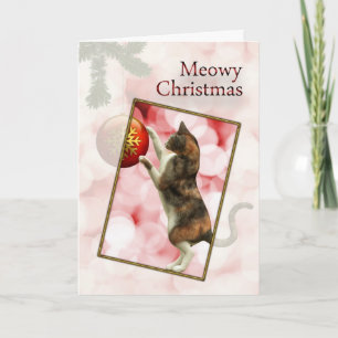 Heiße Weihnachten mit einer spielerischen Katze.
