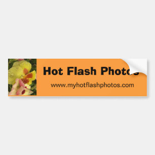 Heißer Blitz-Fotos Autoaufkleber