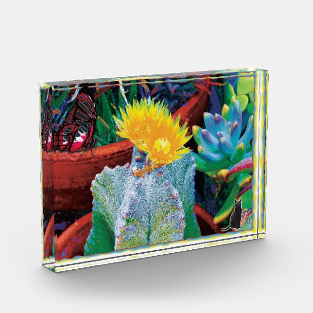 Heißer Kaktus Fotoblock (Links)