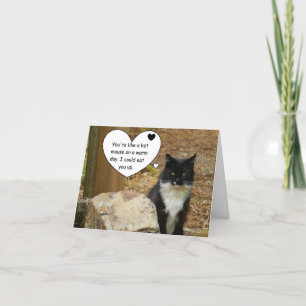 Heißer Mäusekatzen-Valentinsgruß Feiertagskarte