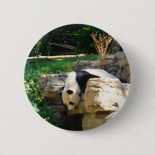 Heißer Panda Button