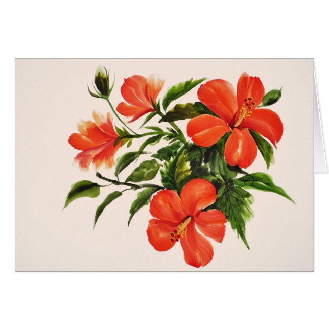 Heißer roter Hibiskus (Vorderseite (Horizontal))