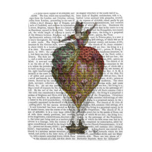 Heißluftballon Frau 3 Magnet