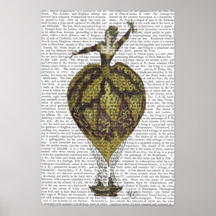 Heißluftballon-Frau Poster