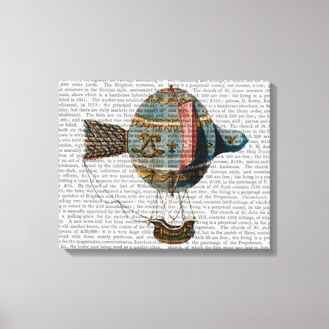 Heißluftballon mit Schwanz-Feder Leinwanddruck (Vorderseite)