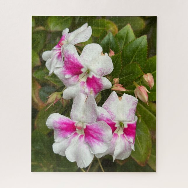 Heißrosa Kamelie, San Francisco Puzzle (Vertikal)