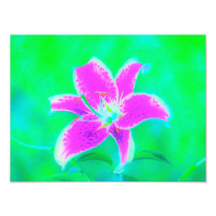 Heißrosa Stargazer-Lilie auf Türkis und Grün Fotodruck