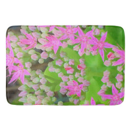 Heissrosa Sukkulentes Sedum mit fleshy-grünen Blät Badematte