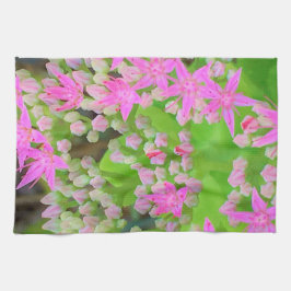Heissrosa Sukkulentes Sedum mit fleshy-grünen Blät Geschirrtuch
