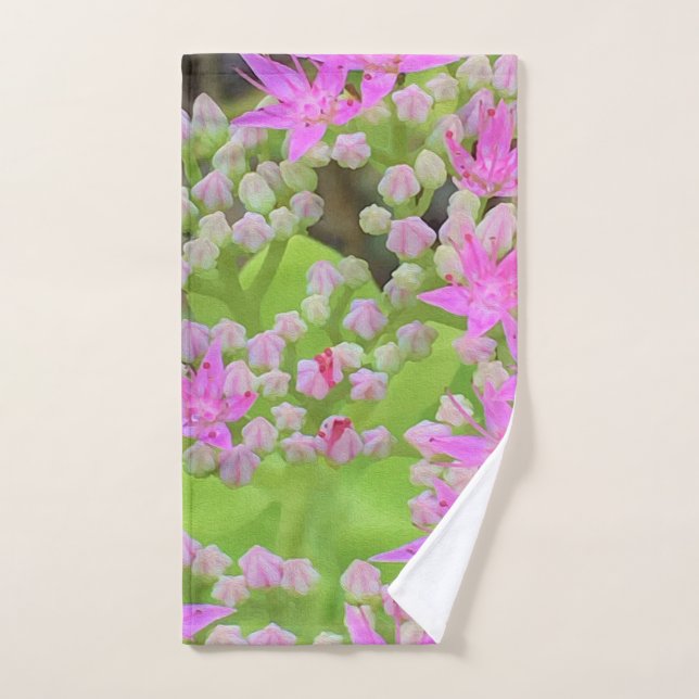 Heissrosa Sukkulentes Sedum mit fleshy-grünen Blät Handtuch (Handtuch)