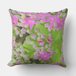 Heissrosa Sukkulentes Sedum mit fleshy-grünen Blät Kissen