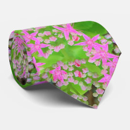 Heissrosa Sukkulentes Sedum mit fleshy-grünen Blät Krawatte