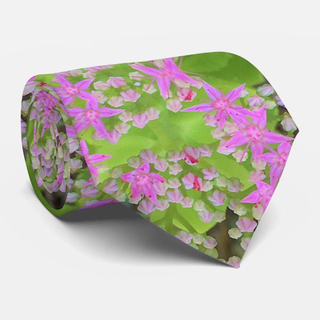 Heissrosa Sukkulentes Sedum mit fleshy-grünen Blät Krawatte (Gerollt)