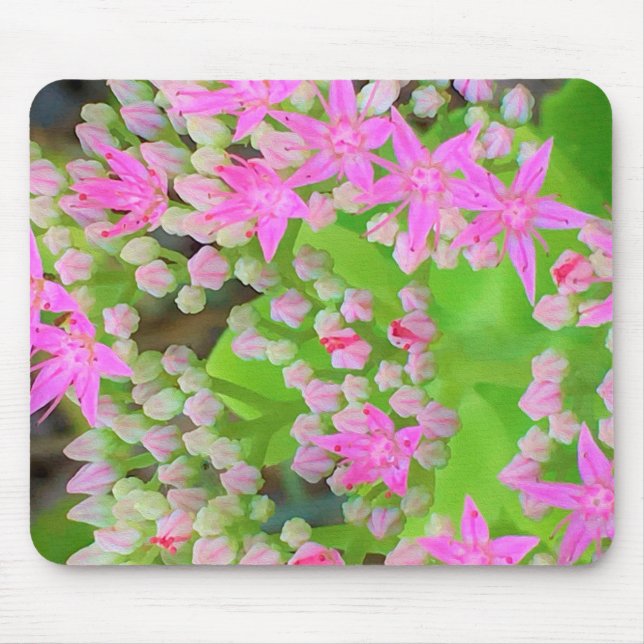 Heissrosa Sukkulentes Sedum mit fleshy-grünen Blät Mousepad (Vorne)