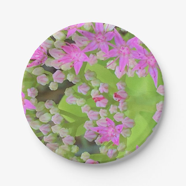 Heissrosa Sukkulentes Sedum mit fleshy-grünen Blät Pappteller (Vorderseite)