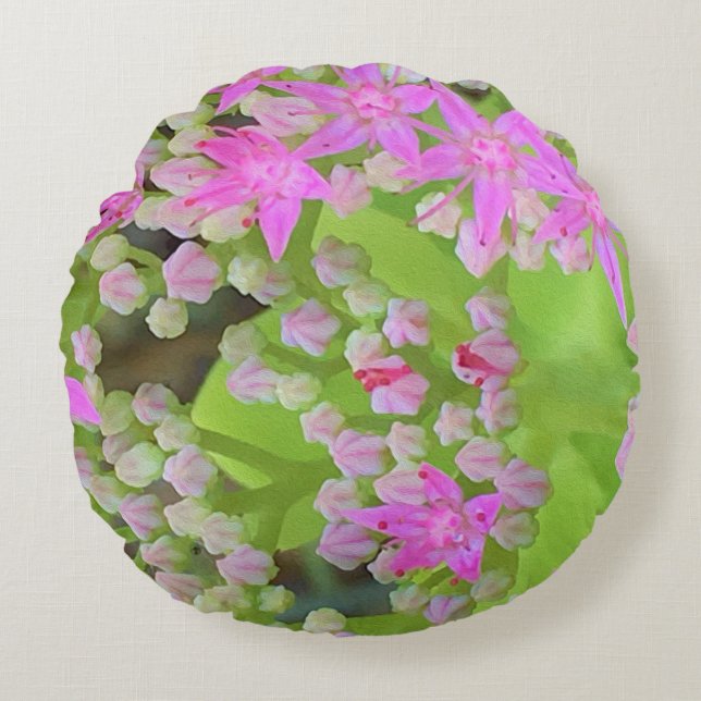 Heissrosa Sukkulentes Sedum mit fleshy-grünen Blät Rundes Kissen (Vorderseite)