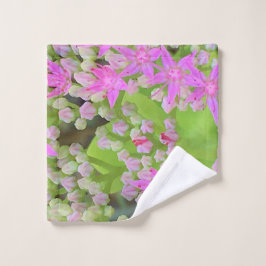 Heissrosa Sukkulentes Sedum mit fleshy-grünen Blät Waschlappen