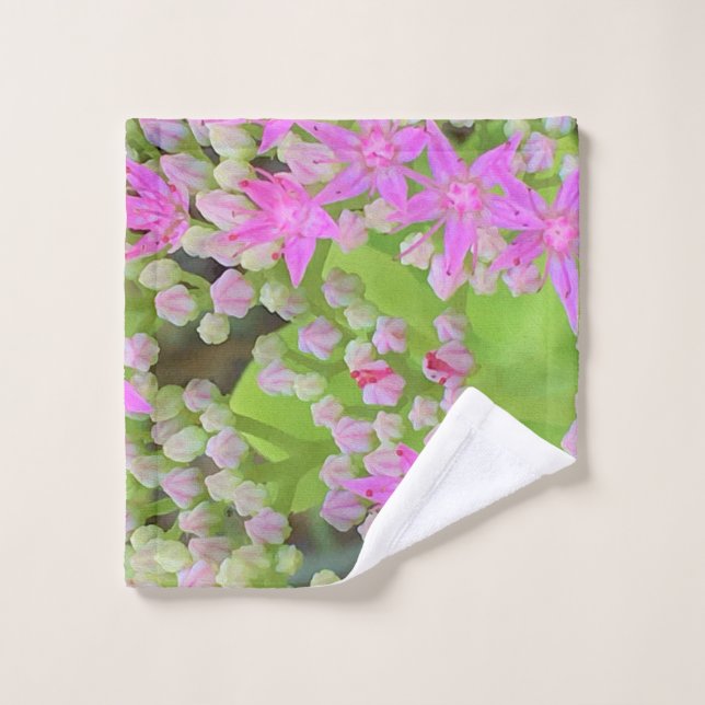 Heissrosa Sukkulentes Sedum mit fleshy-grünen Blät Waschlappen (Waschlappen)