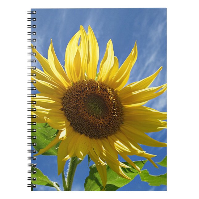 Heitre Sonnenblume Notizblock (Vorderseite)