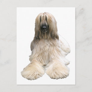 Helaines Afghanin Postkarte