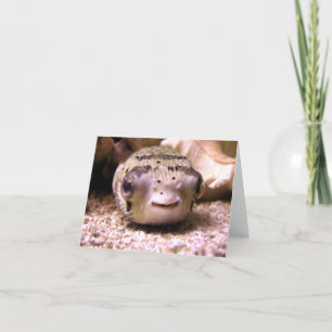 Helaines BlowfishPufferfish Karte